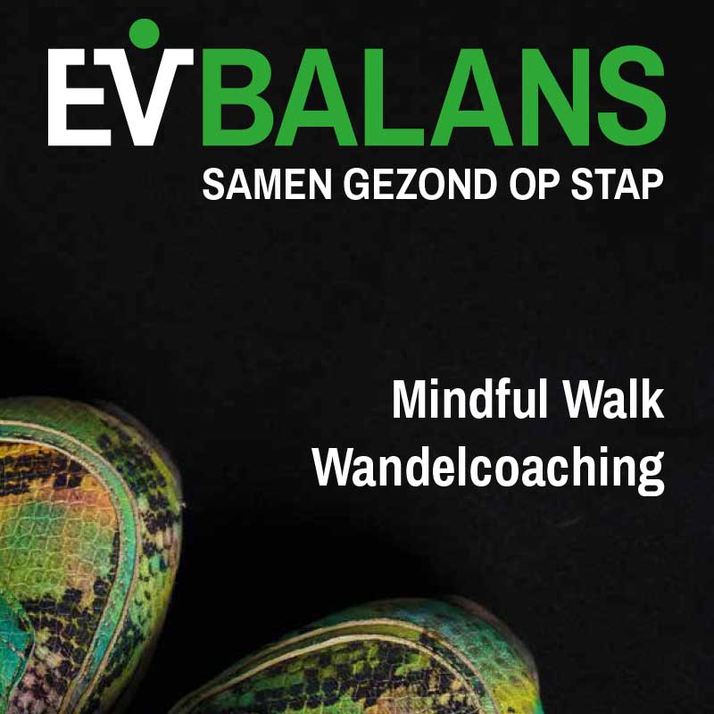 Ev Balans 2