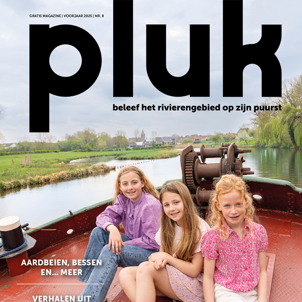 Pluk