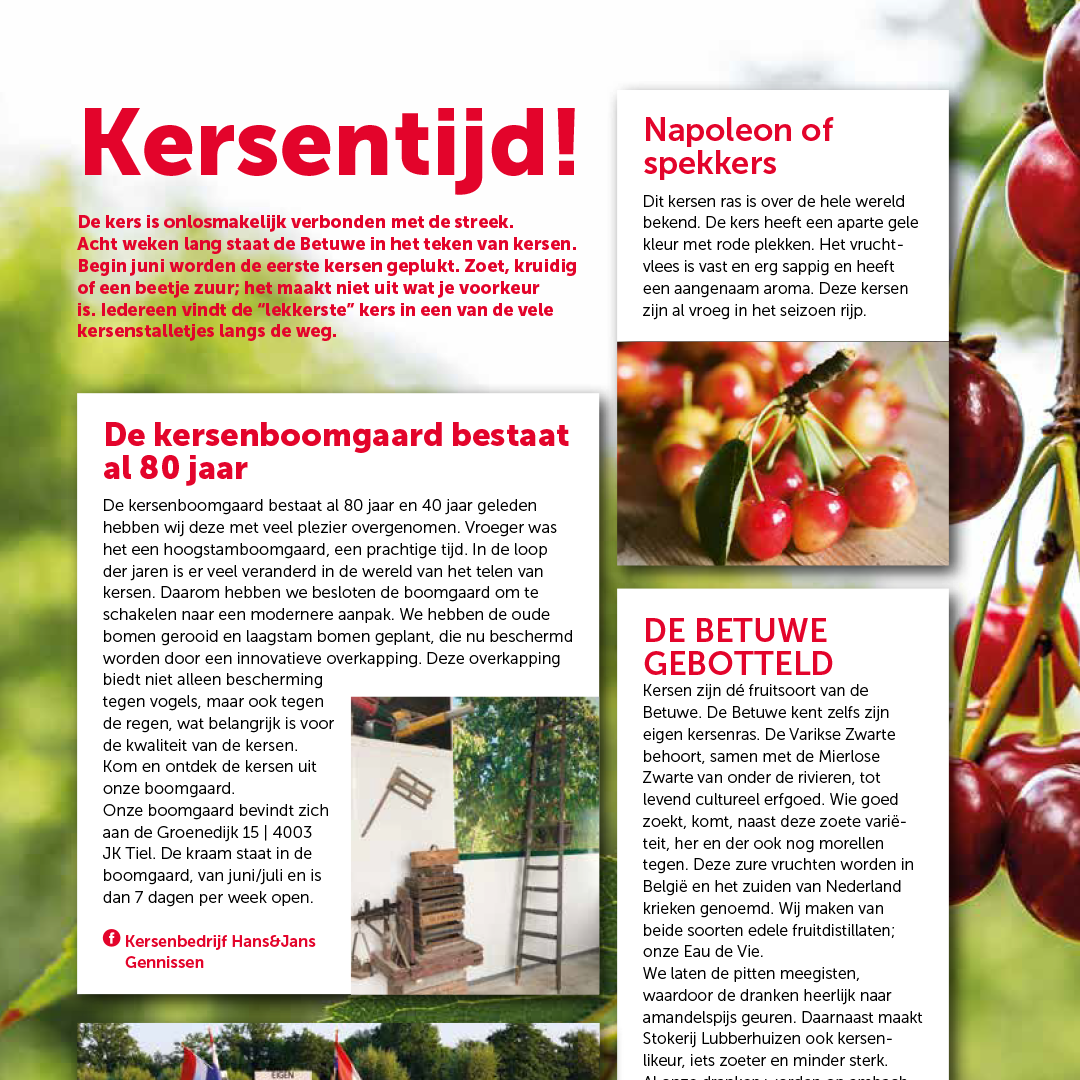 UIT 2025 website 5